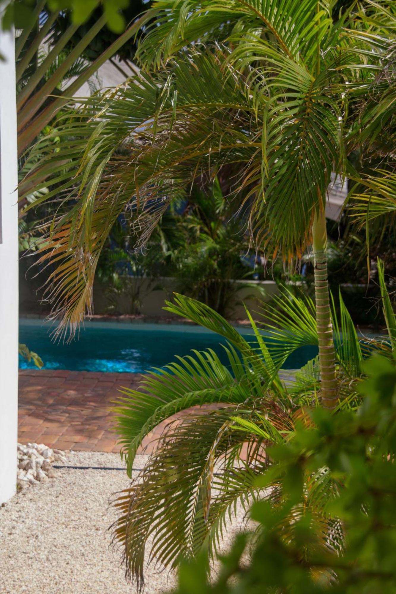 Major. Suites Curacao Willemstad Exterior foto